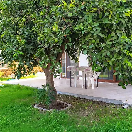 Ertem Apartment *