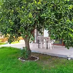 Ertem Apartamento *