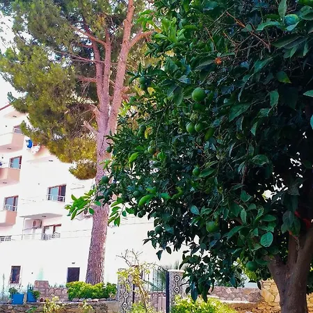 Ertem Apartment