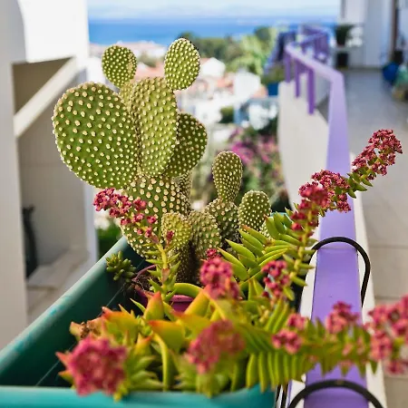Apartment Ertem