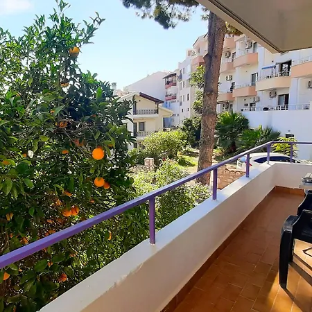 Apartment Ertem *