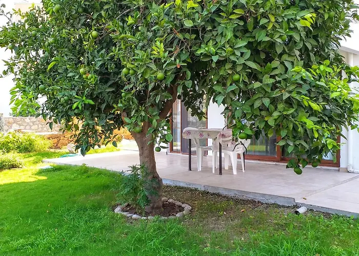 Ertem Appartamento *