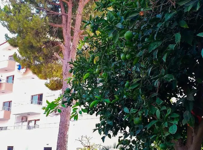 Ertem Διαμέρισμα