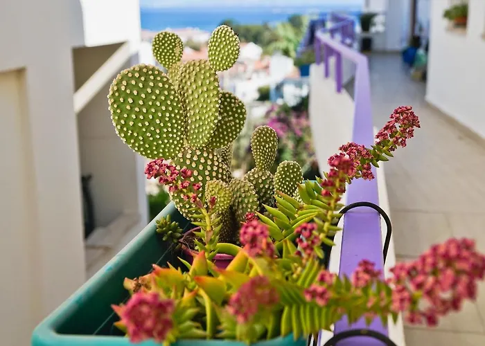 Διαμέρισμα Ertem