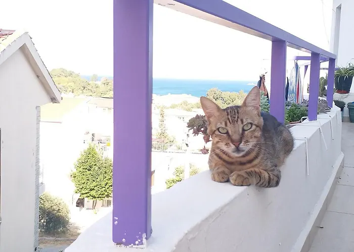 Διαμέρισμα Ertem *